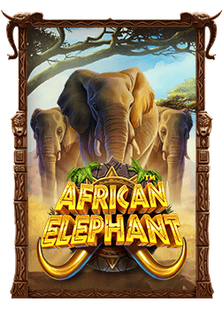 สล็อต แบบ ไหน ดี ที่ควรรู้ก่อนลงเดิมพัน